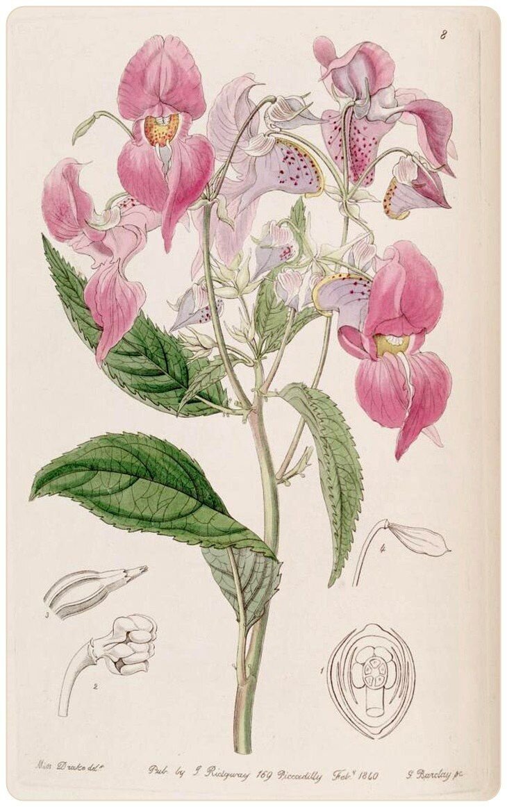 №1 (Художественная зарисовка)