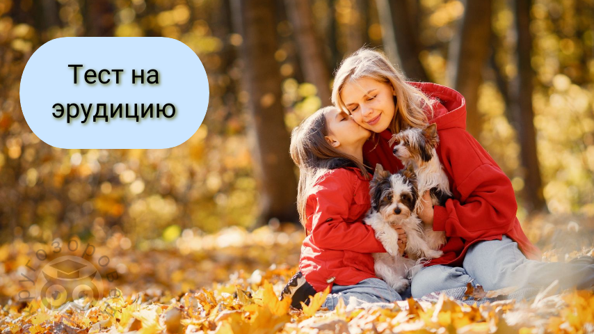 Картинка создана с помощью ресурсов с freepik.com и supa.ru | тесты на эрудицию | кругозор