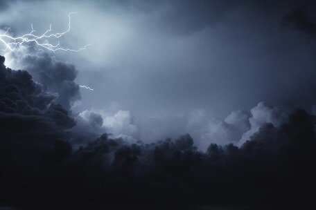 Изображение из открытого источника. Unsplash