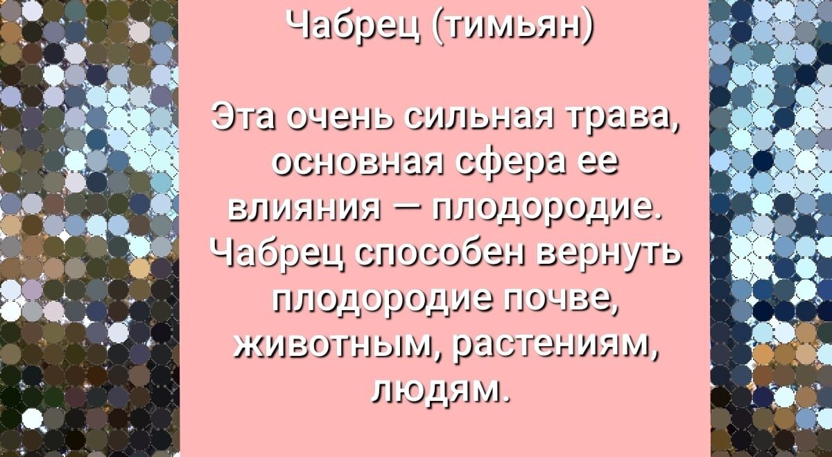 ведьменыш на дзен