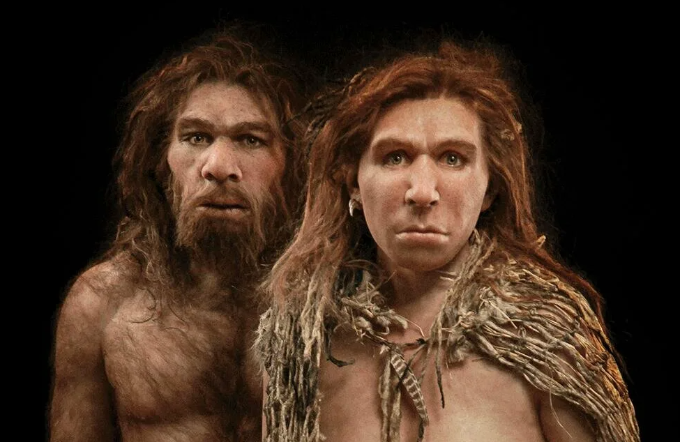 Личная жизнь неандертальцев - какой она была? Британские ученые сделали  неожиданное открытие | Восточная сказка (Шахерезада) | Дзен