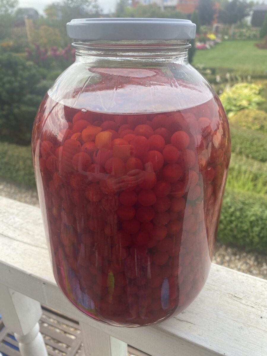 Ягоды калины из настойки становятся мягкими и практически лишаются горечи, их можно употреблять отдельно 