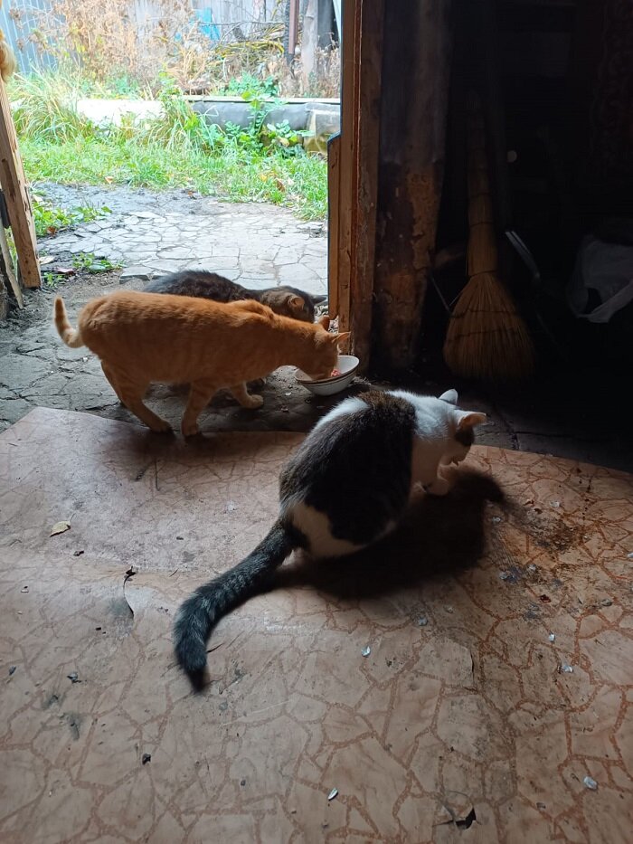 Вот то, что ближе к нам - непонятно кто, но подозреваю, что барышня(