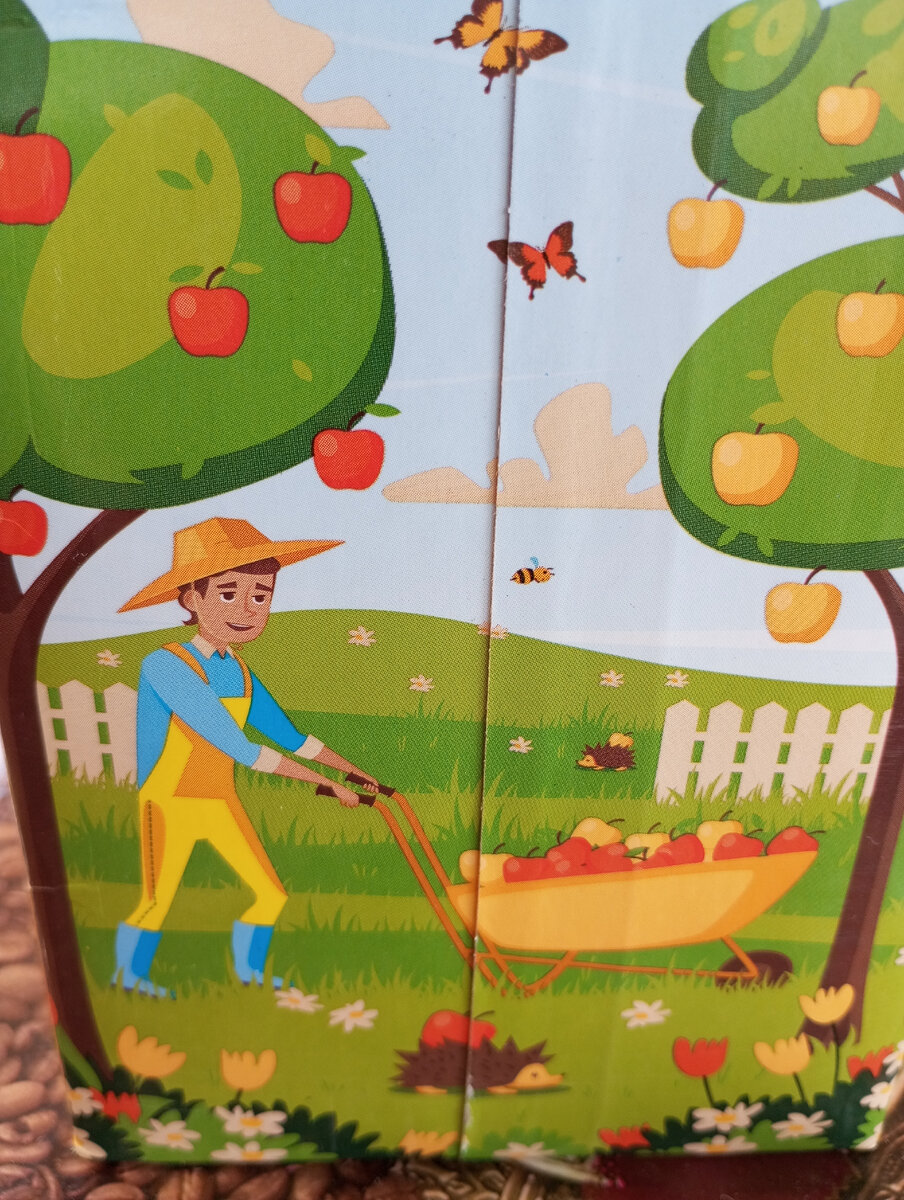 Фото автора. 