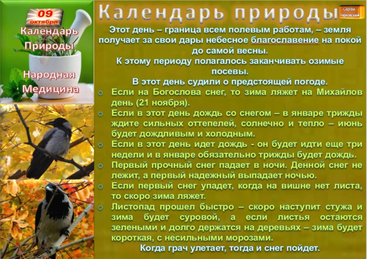 26 октября приметы. 21 Октября приметы. 9 Октября приметы дня. Приметы октября на каждый день недели