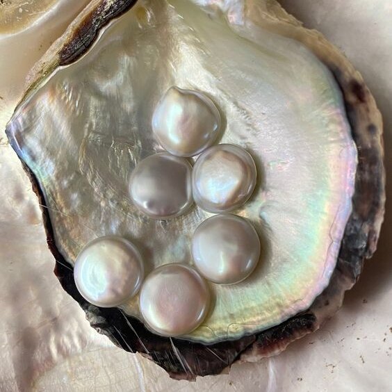 Створка перламутровой раковины моллюска с жемчужинами. Фото из открытых источников