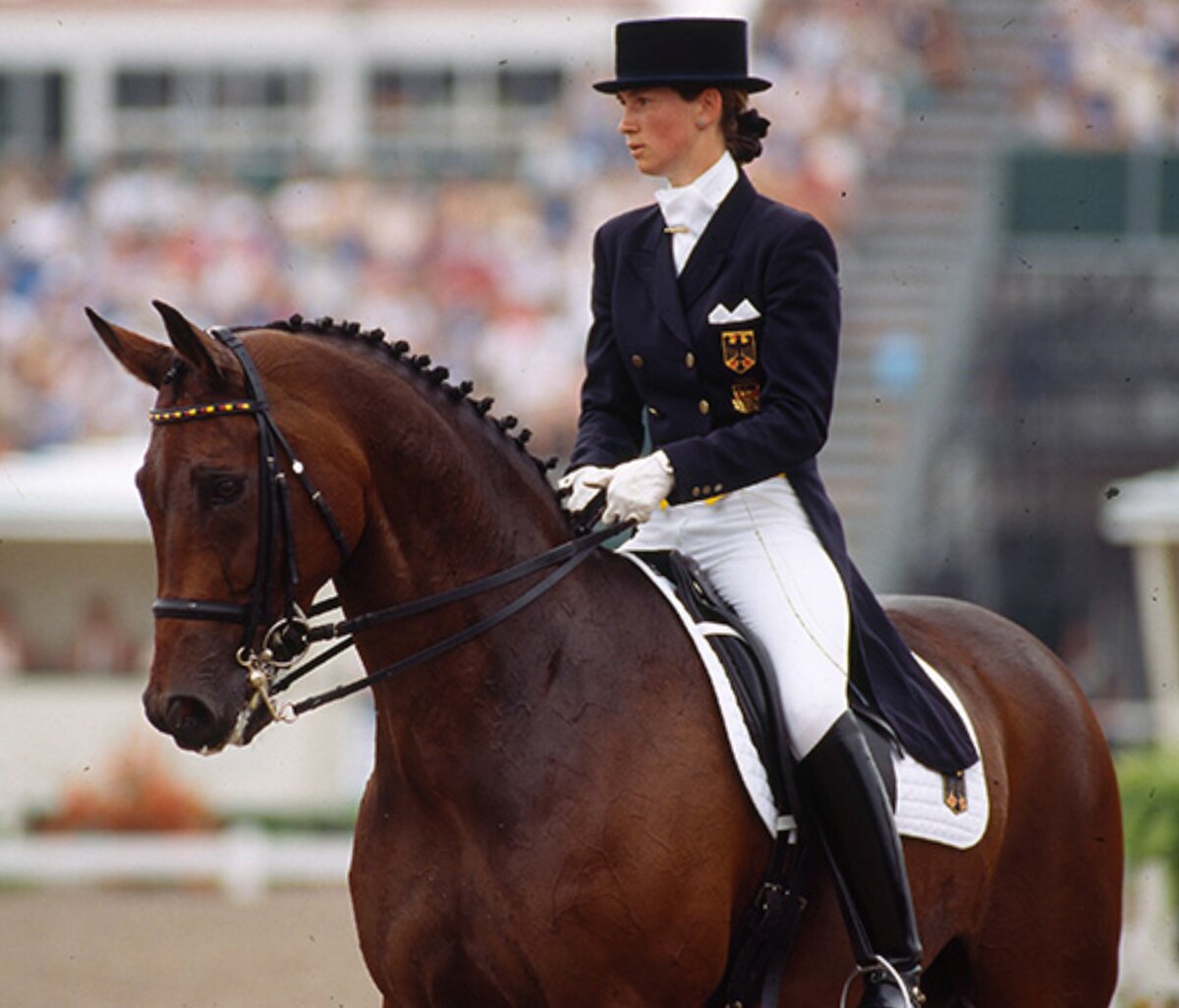 Фото: stableexpress.com