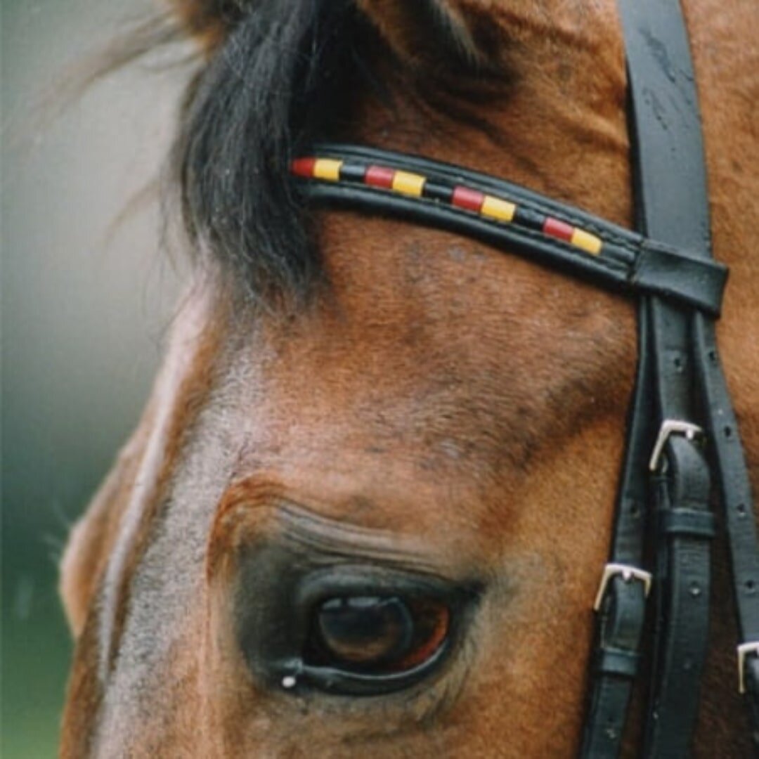 Фото: nicole-uphoff.de