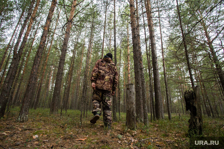    В деревне Речкина 7 октября пенсионер ушел в лес и пропал