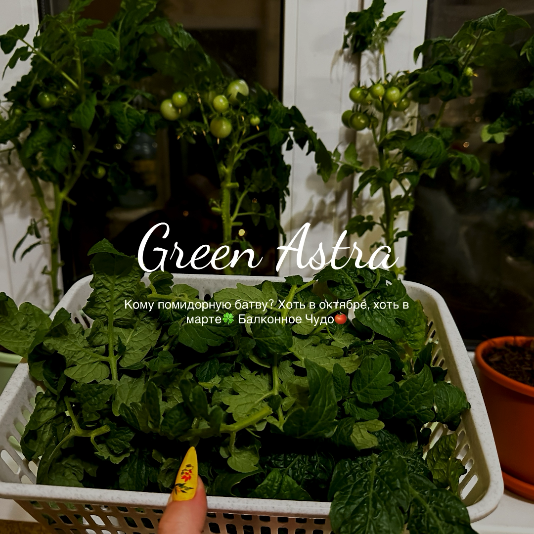 Кому батву? В любой месяц года💡