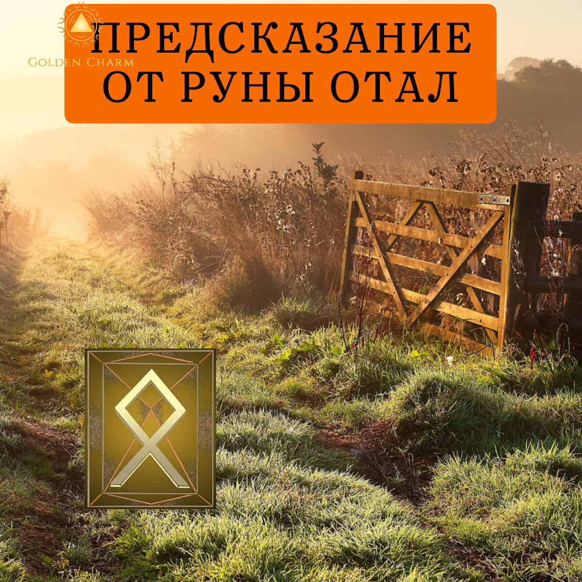 🤗ПРЕДСКАЗАНИЕ ОТ РУНЫ ДЛЯ ВАС! СТАВЬ👍ПОДПИШИСЬ☝️ | Школа Таро Golden  Charm | Дзен