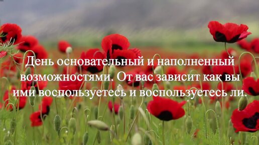 День 09.10.2023. Что важно знать. Рекомендации и предостережения