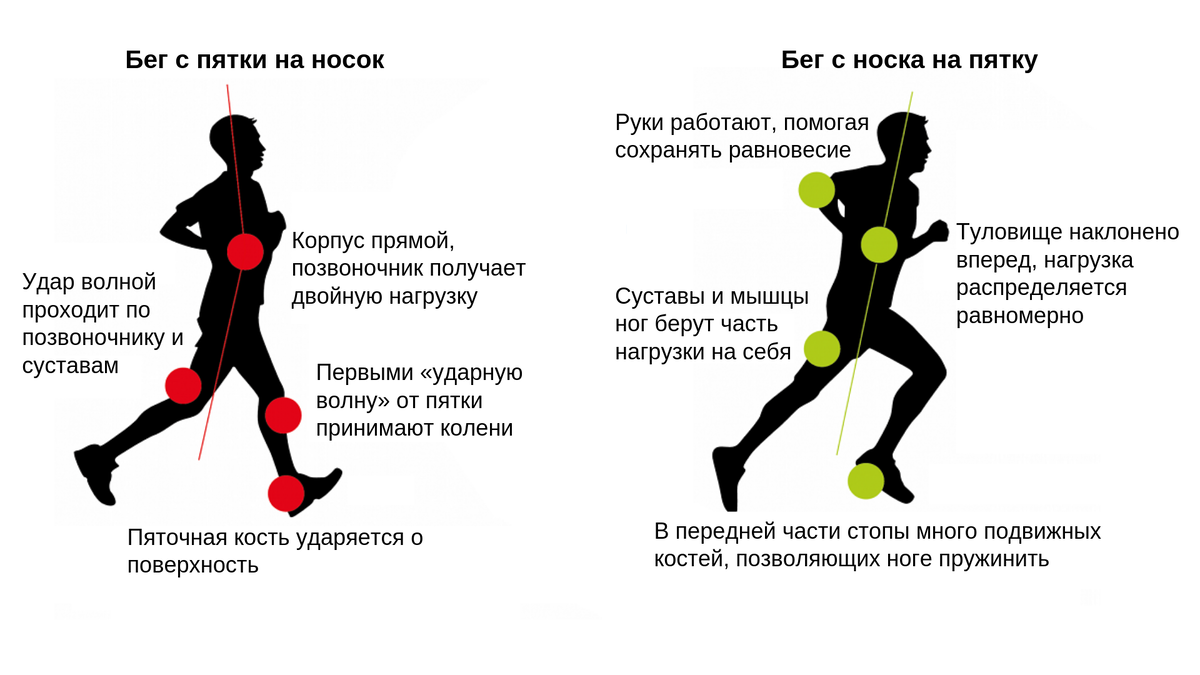 Как выжить в Апокалипсис