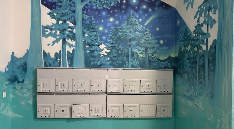 Фото: Елизавета Алексеева