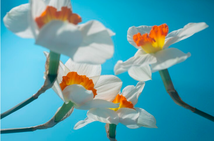Фото с freepik