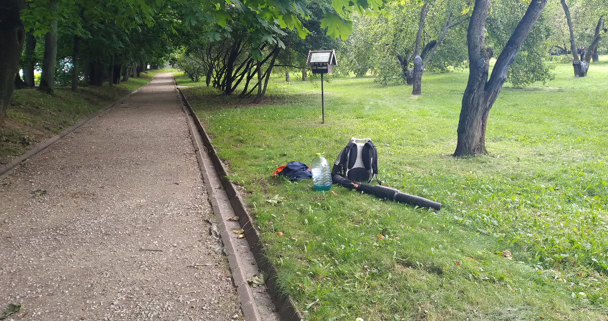 в парке Коломенское 