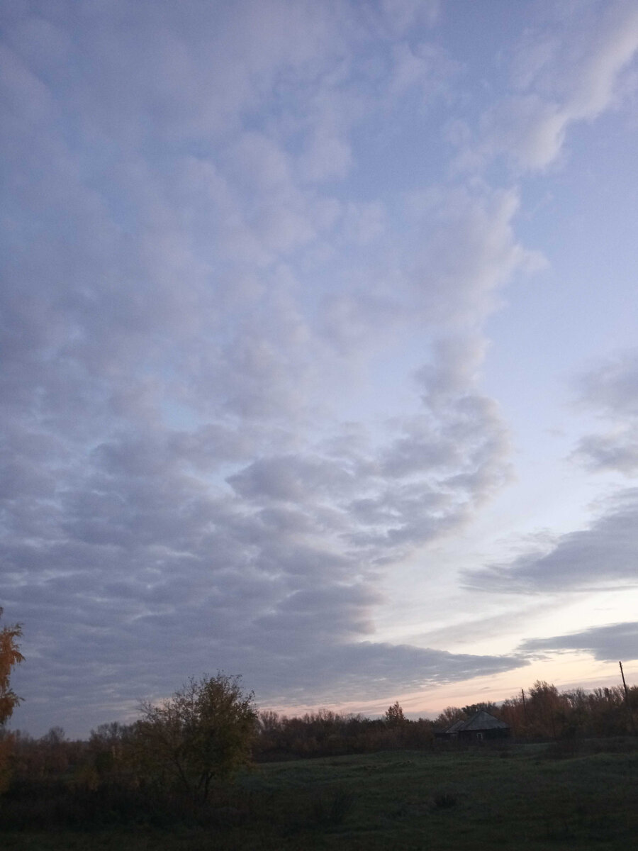 Утро, фото автора