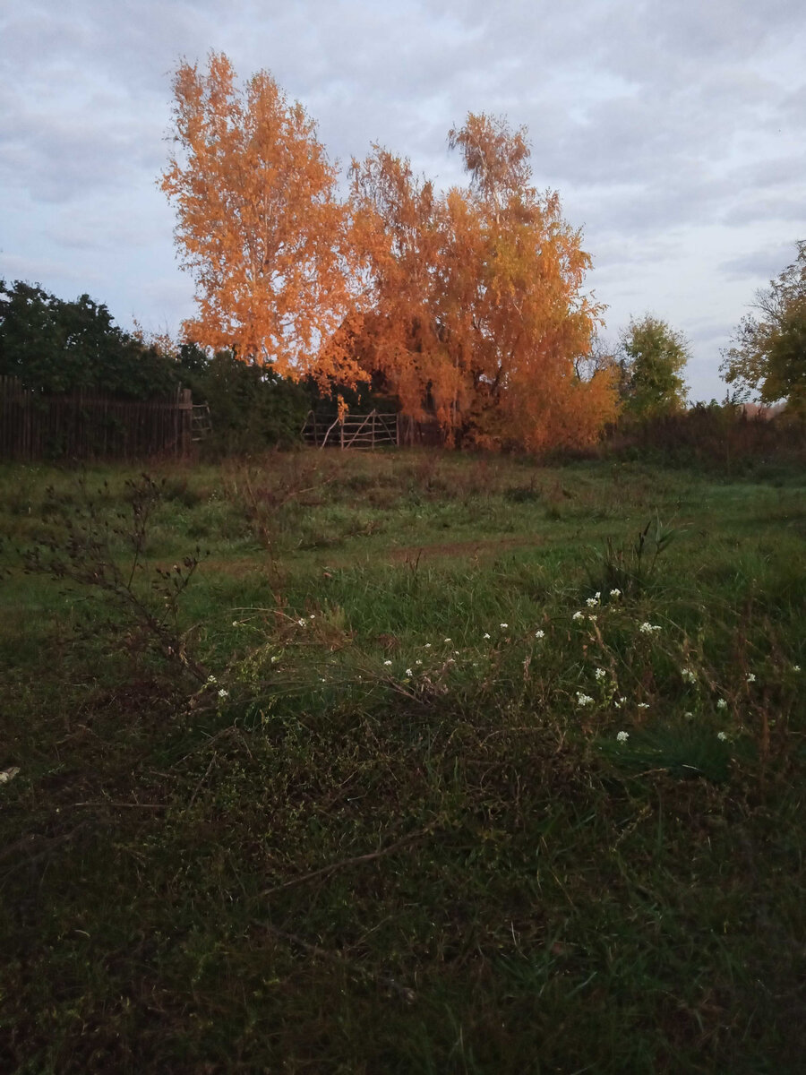 Утро, фото автора