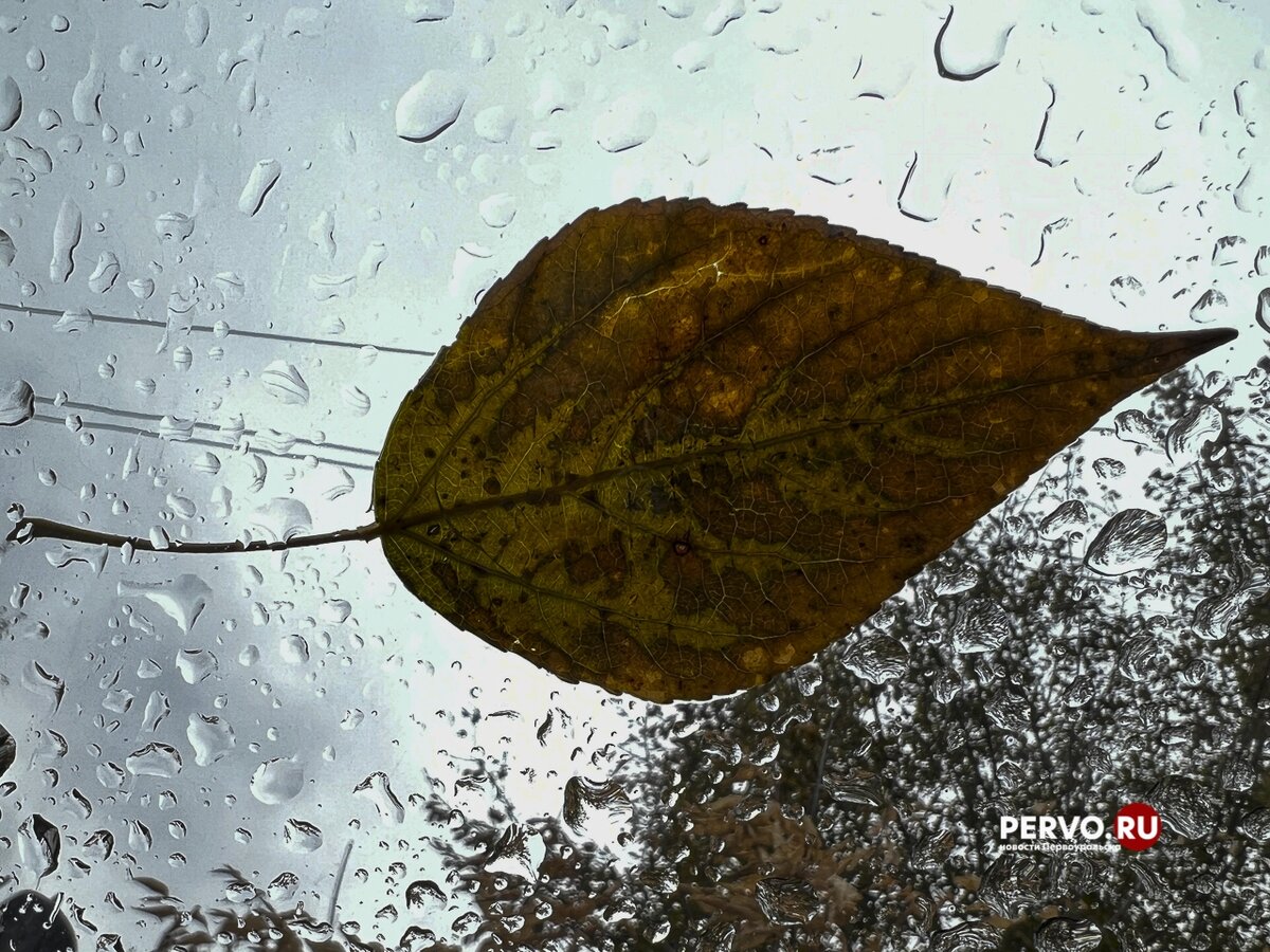 Фото © Кравчук Максим