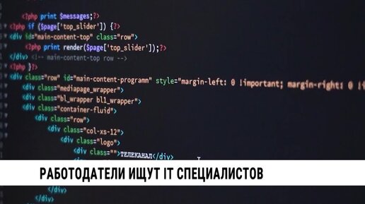 Работодатели ищут IT-специалистов в Хабаровске