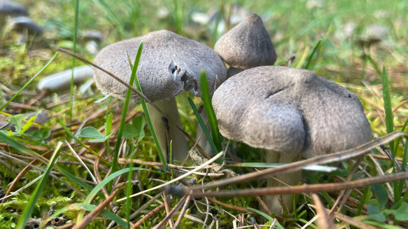     Осенний Горный Алтай altapress.ru