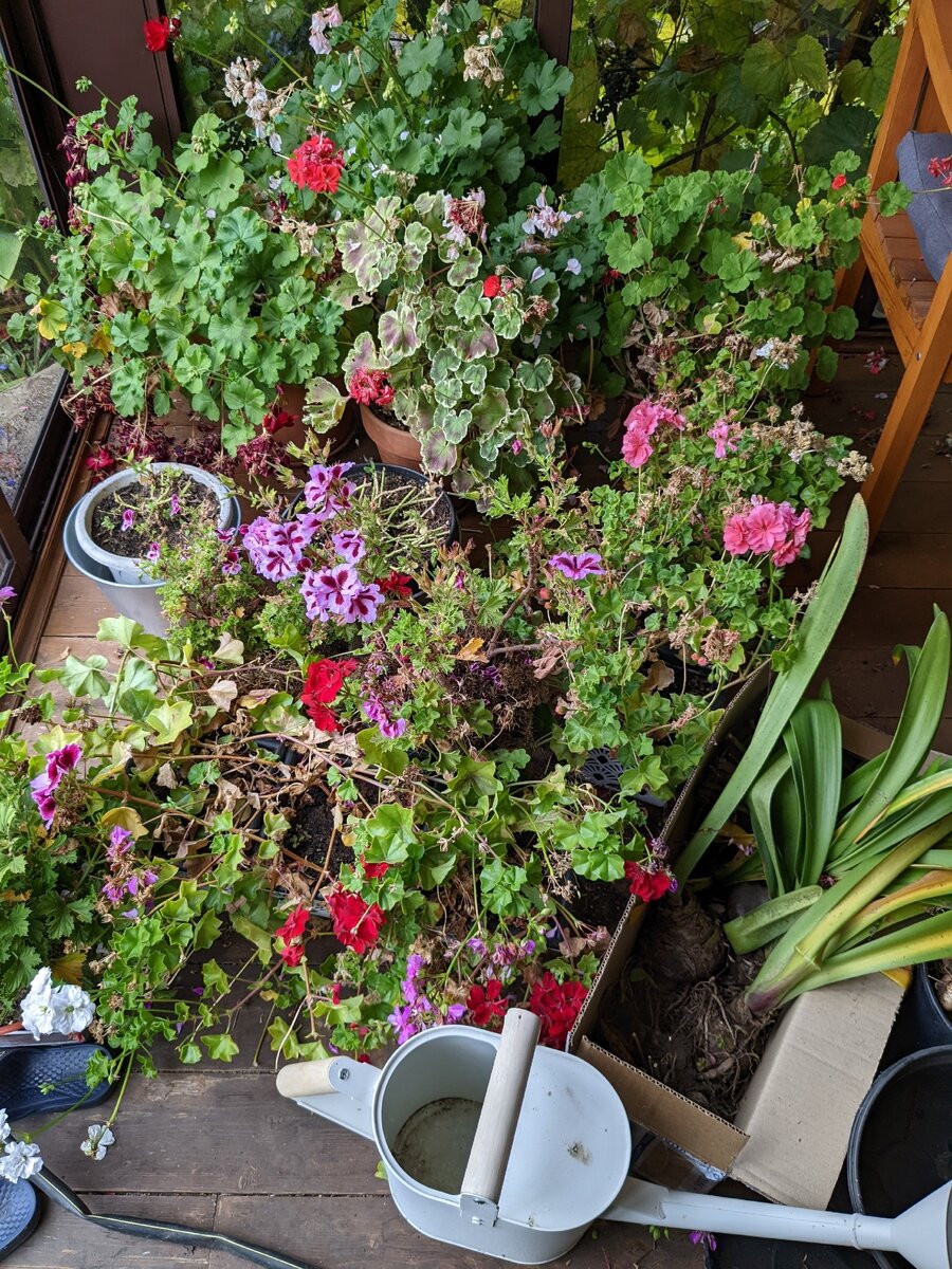 Осень, и на веранде снова беспорядок