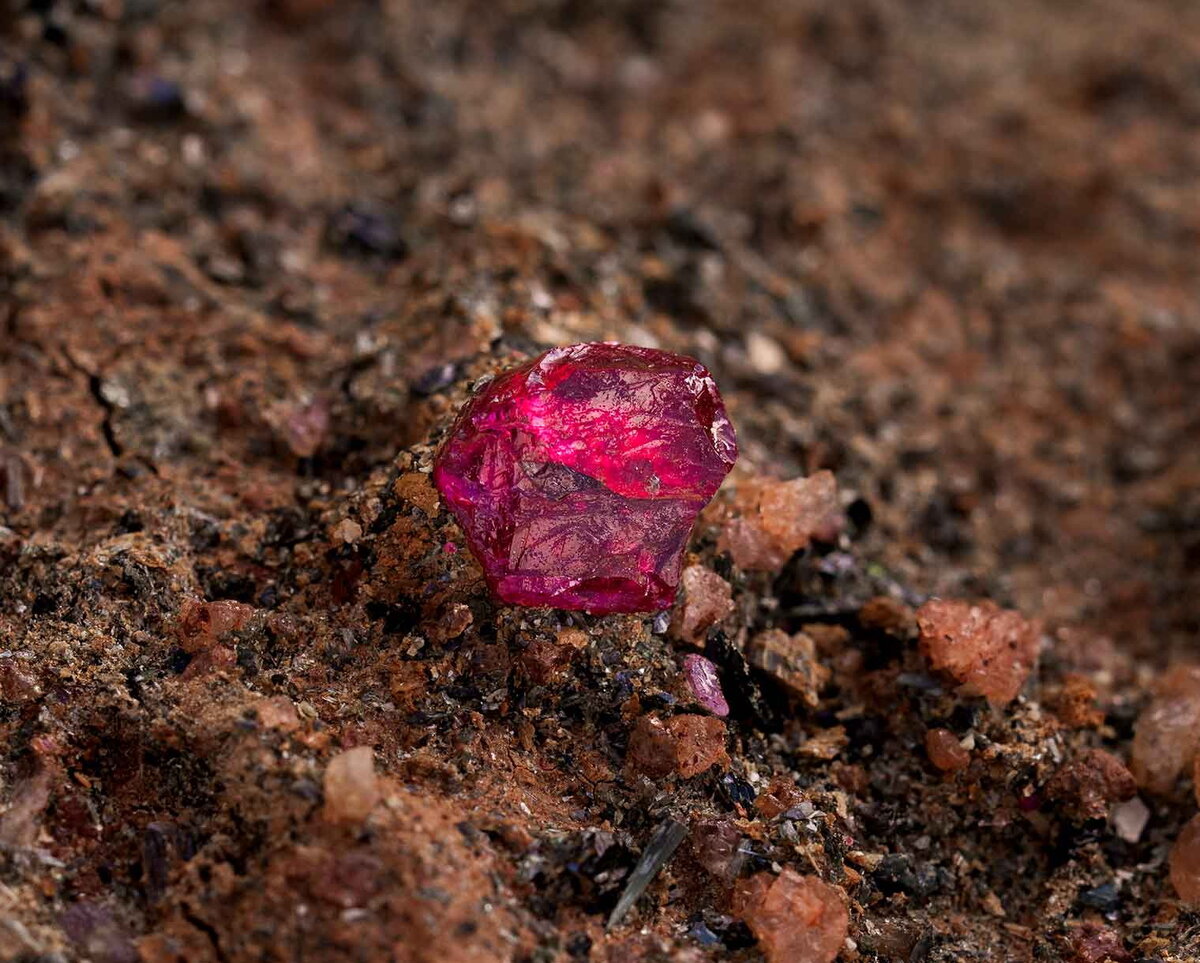 Закапывание в землю