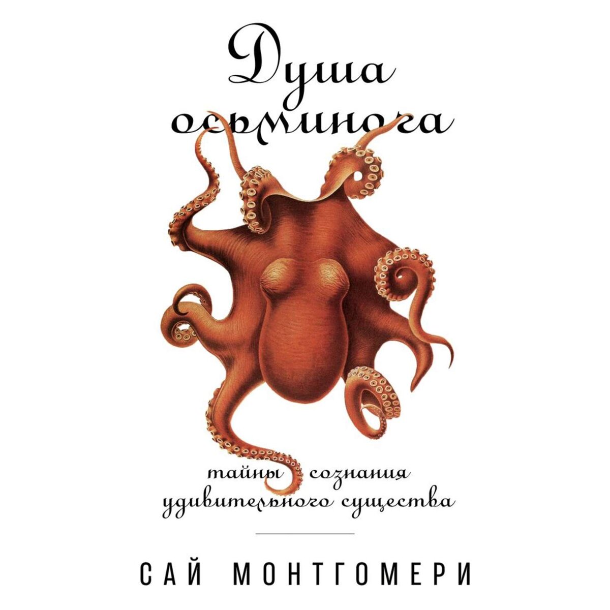 Что почитать про осьминогов? | Говорим на книжном: блог  #молодежной_на_красном | Дзен