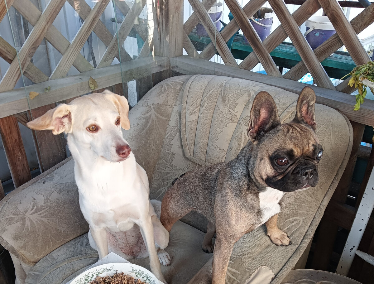 Тильда и Юна.