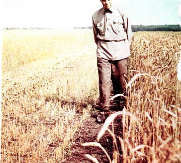 Терентий Мальцев. Кукуруза VS Пшеница. Часть 4 - Спор с Хрущёвым.