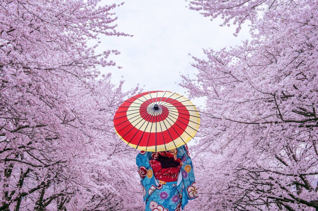    Фото: freepik.com writ4