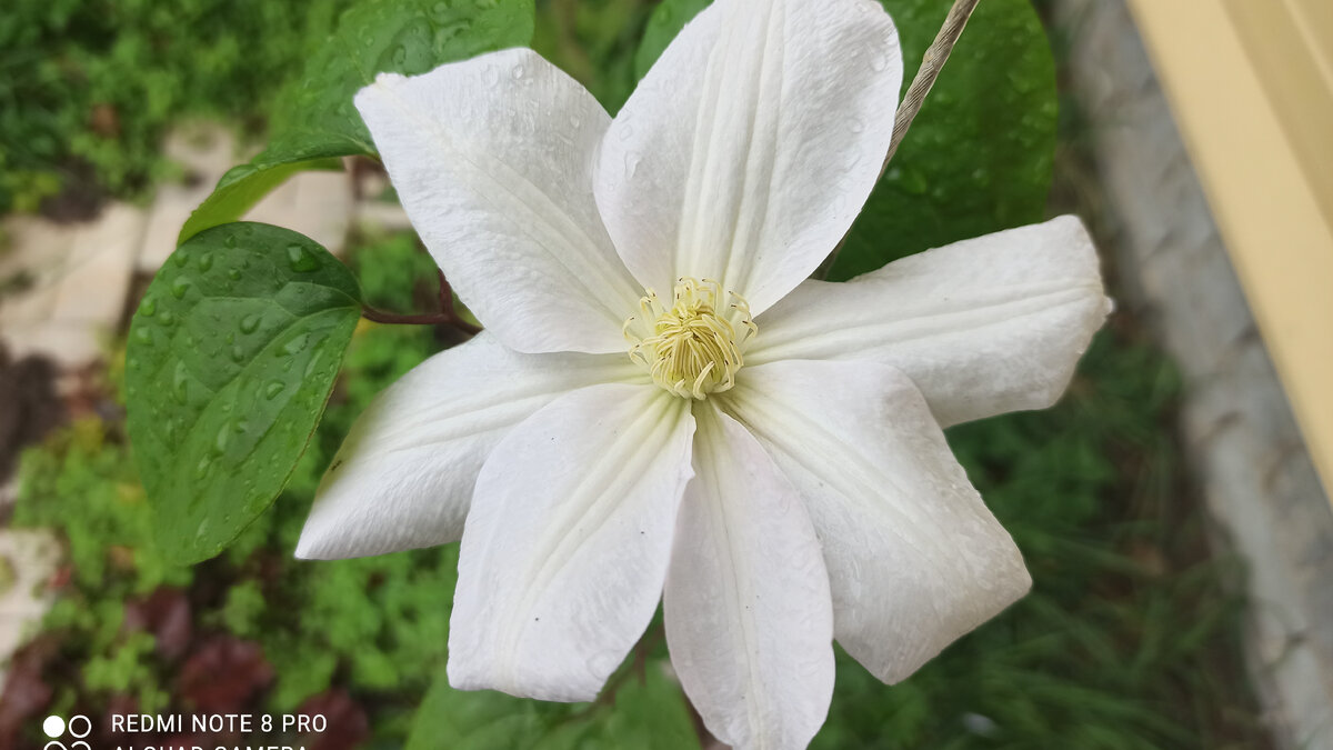 8 октября 2023 г. 