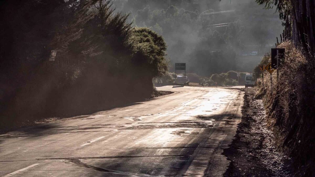    Иллюстративное фото / Ruben Hanssen / Unsplash Амин Абдулманов