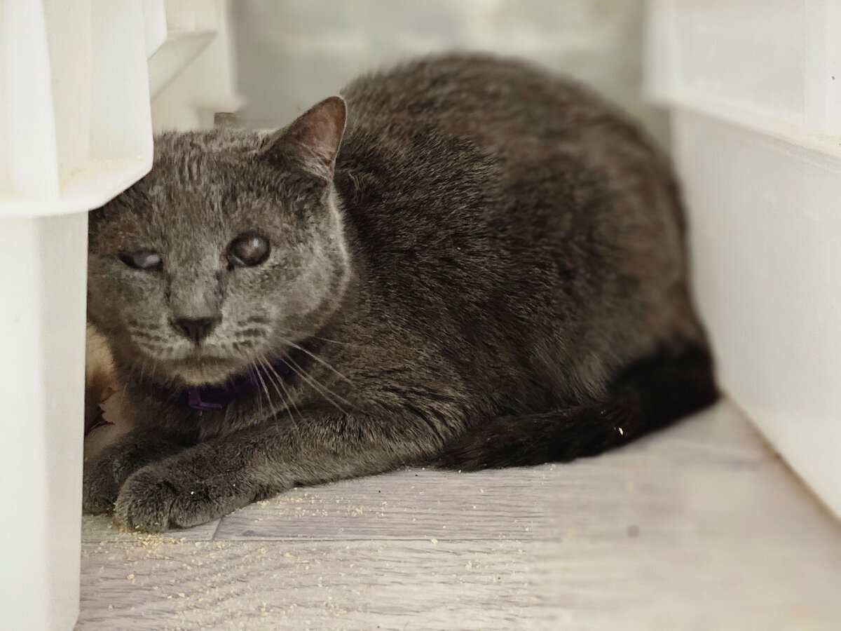 Слепой Серега