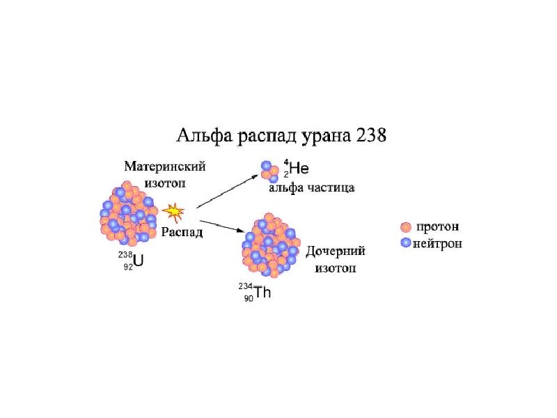 Уровень активности и длительность периода полураспада