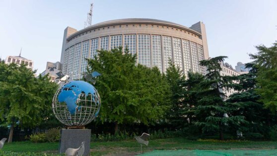    СМИ: глава МИД Китая принял в Пекине делегацию из США Юлия Шелковенко