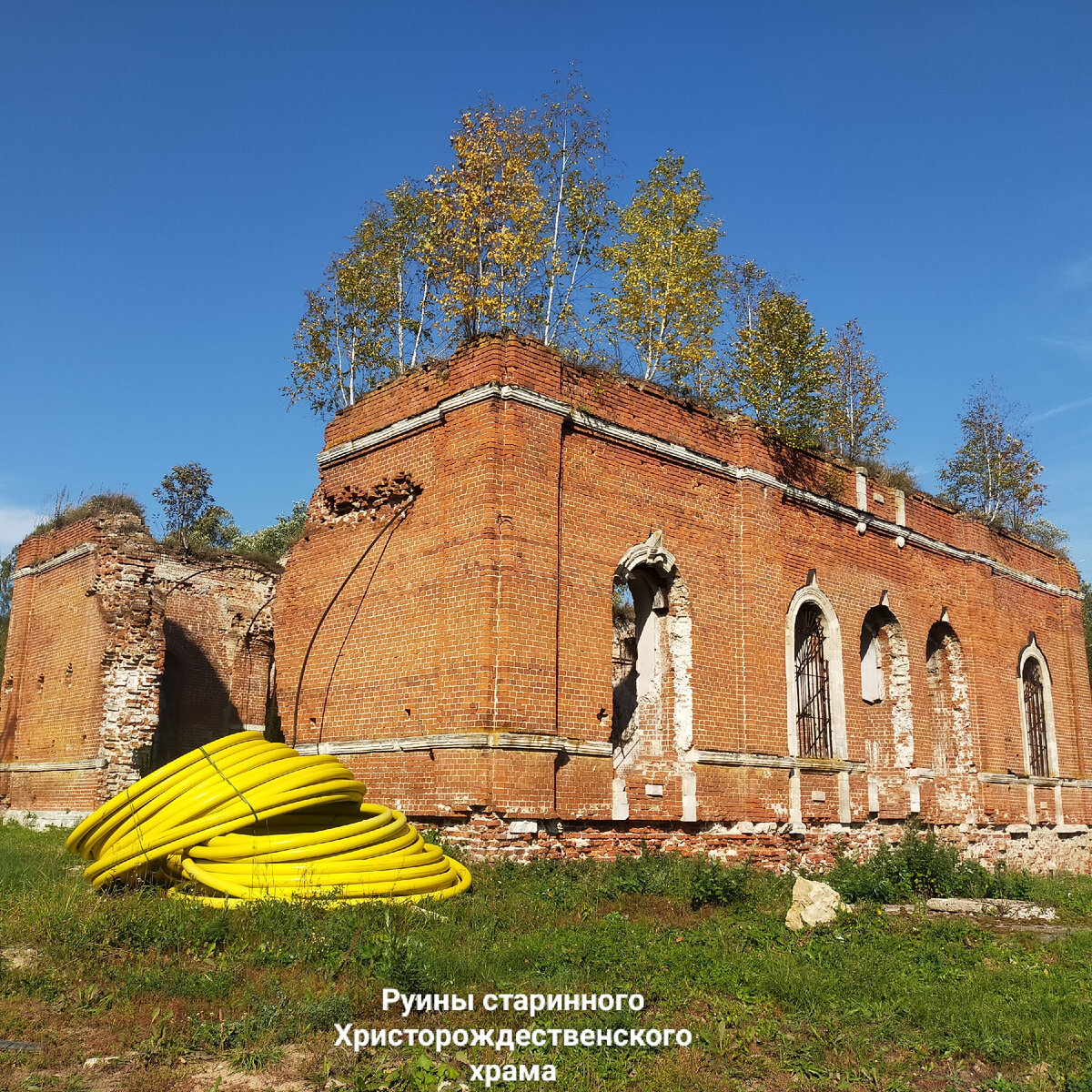 Фото автора.