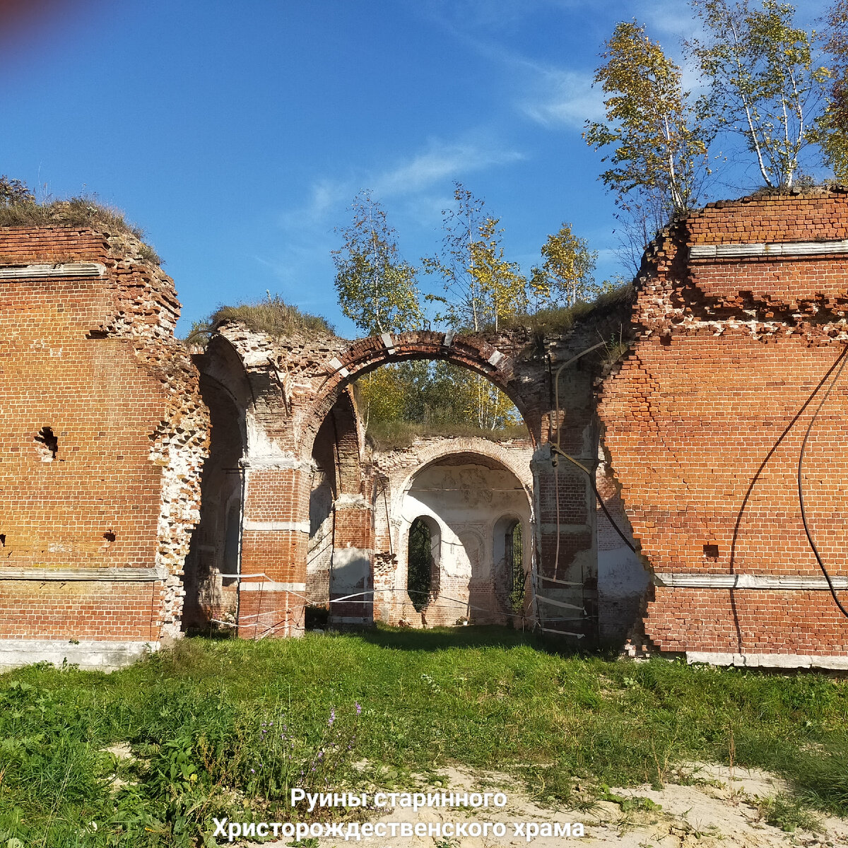 Фото автора.