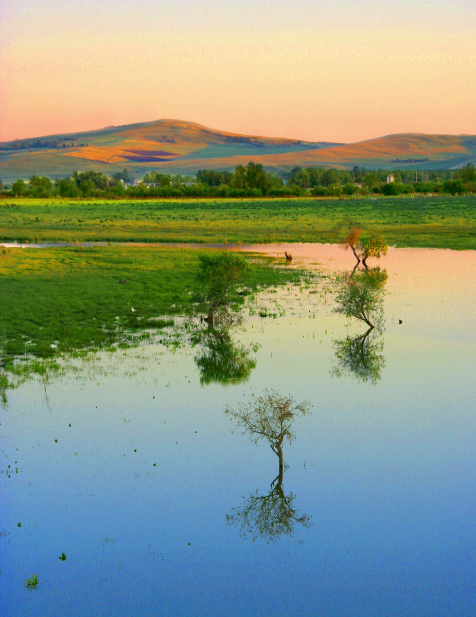 Фотография, стихотворение Василия Глуцкого