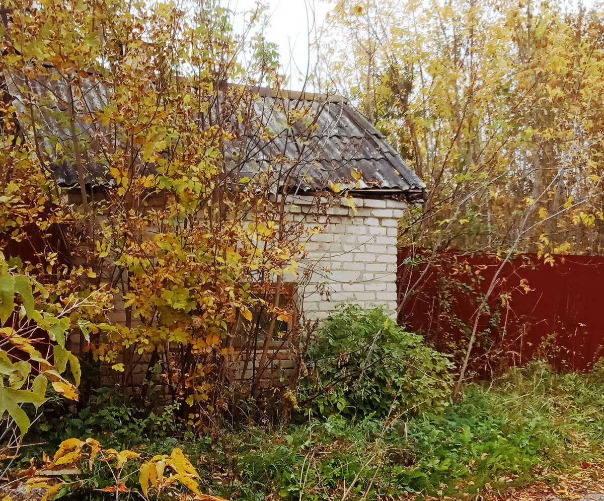 Эстетика подмосковных Гребеней.