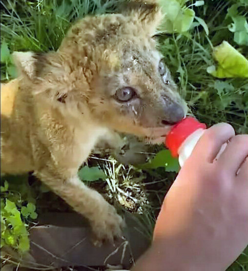    Фото: соцсети