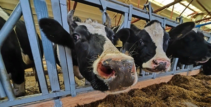 Фото: пресс-служба губернатора Курганской области