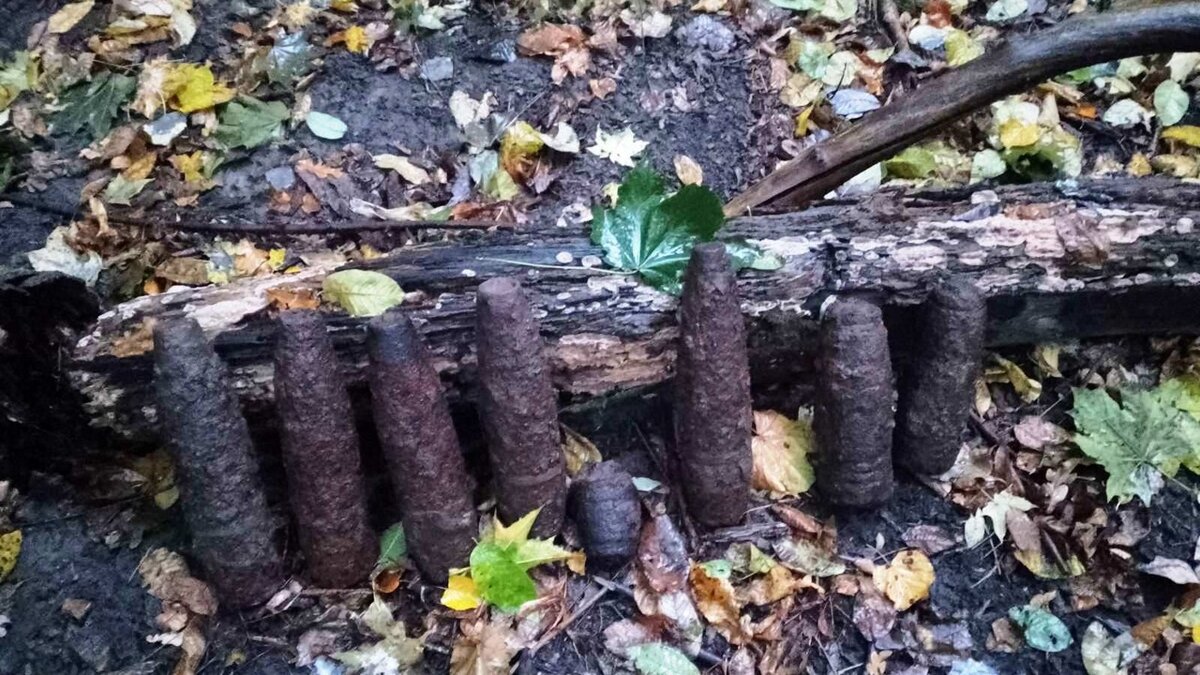    Около села Расховец Курской области обнаружили 11 артснарядов времён войны