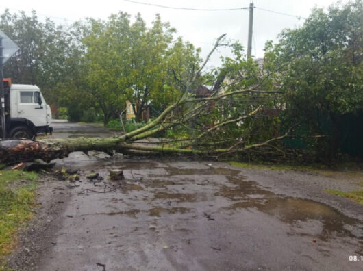    В Ростове ликвидируют последствия воскресной непогоды //Фото пресс-службы Администрации Ростова-на-Дону