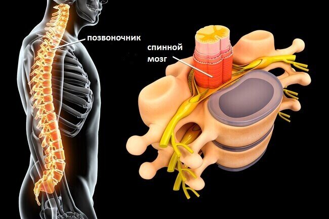 Источник изображения: https://instructorpro.ru/