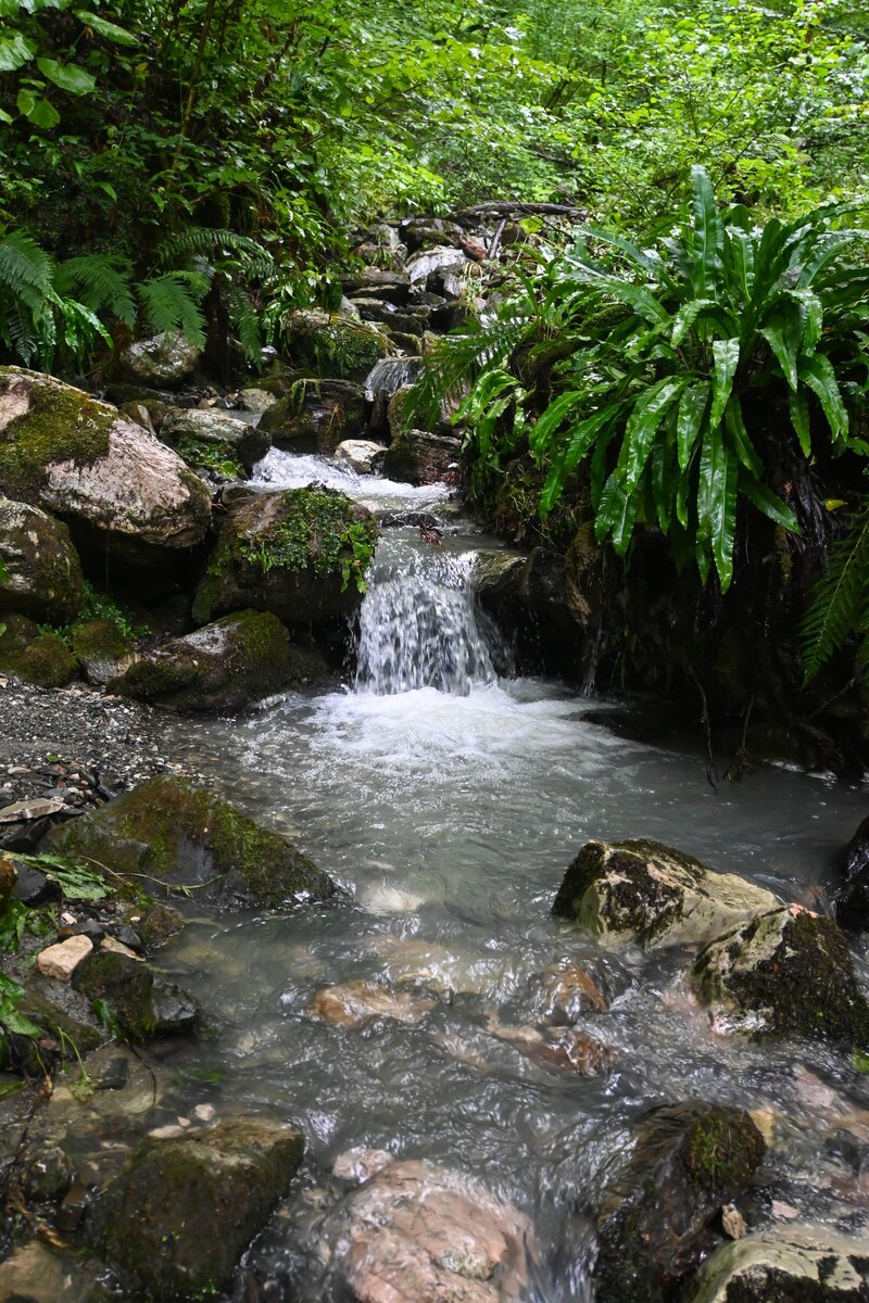 Фото: Кристина Белан