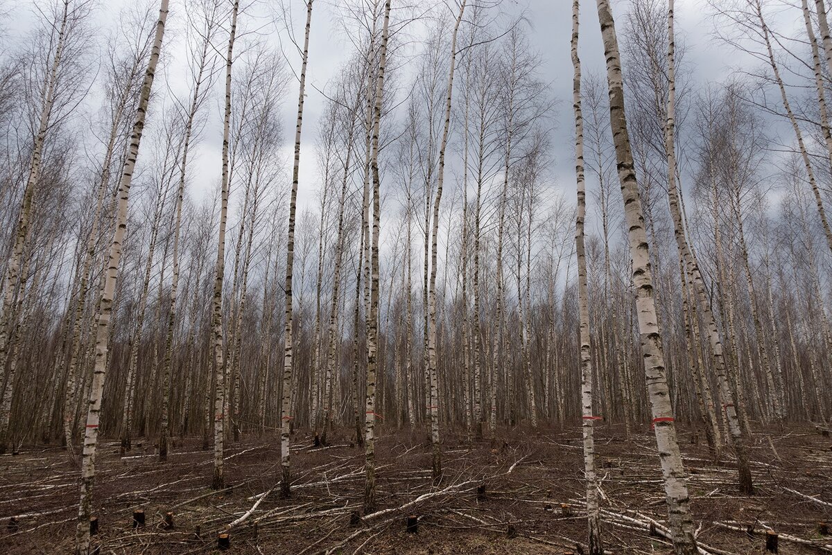 Фото: © Татьяна Хакимулина 