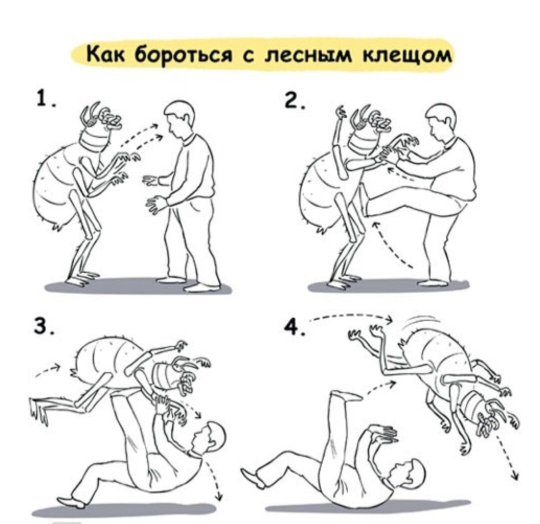 Так я вижу борьбу с аварийностью на дорогах нашей страны...