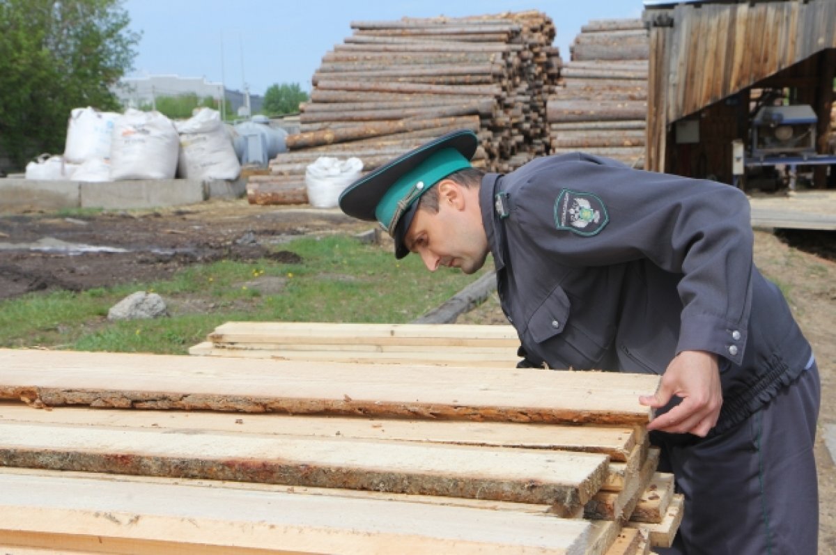    С начала года из Красноярского края вывезли 3,2 млн кубометров древесины