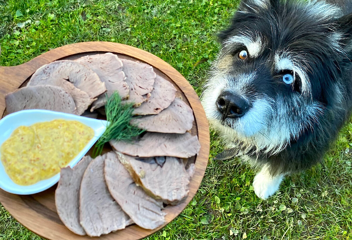 Свиное сердце на бутерброды: стоит недорого, а на вкус ничуть не хуже языка  | Домохозяйка со стажем Галина | Дзен